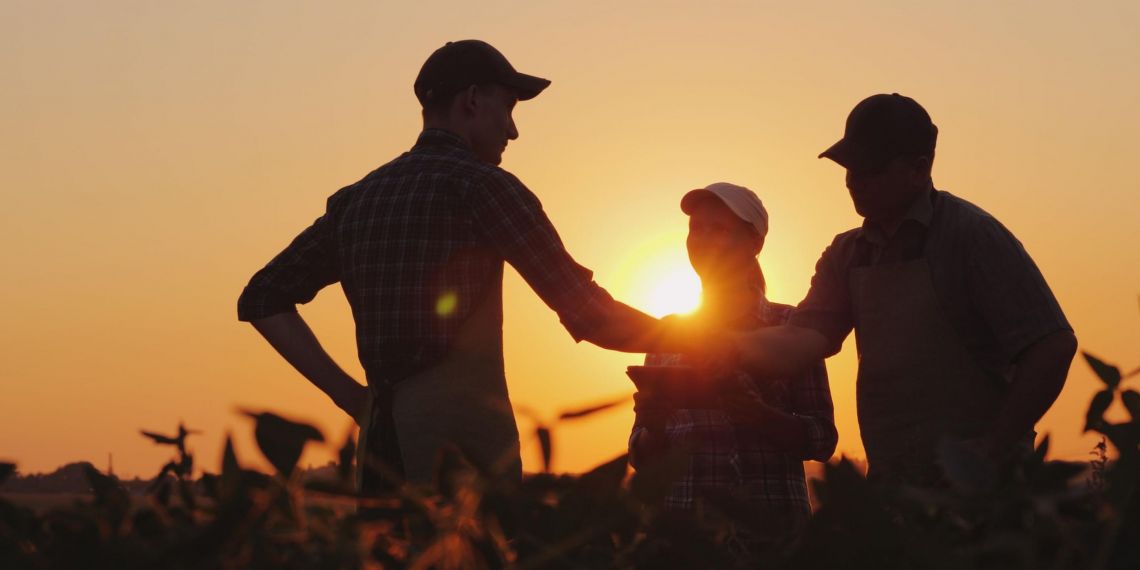 Exonération de cotisations : les jeunes agriculteurs devraient bénéficier d’un coup de pouce supplémentaire (PLFSS 2025)