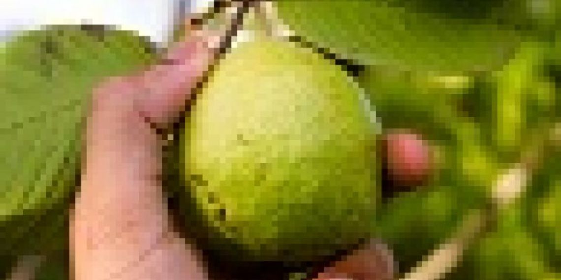 CDD et job d’été : mêmes obligations pour l’employeur !