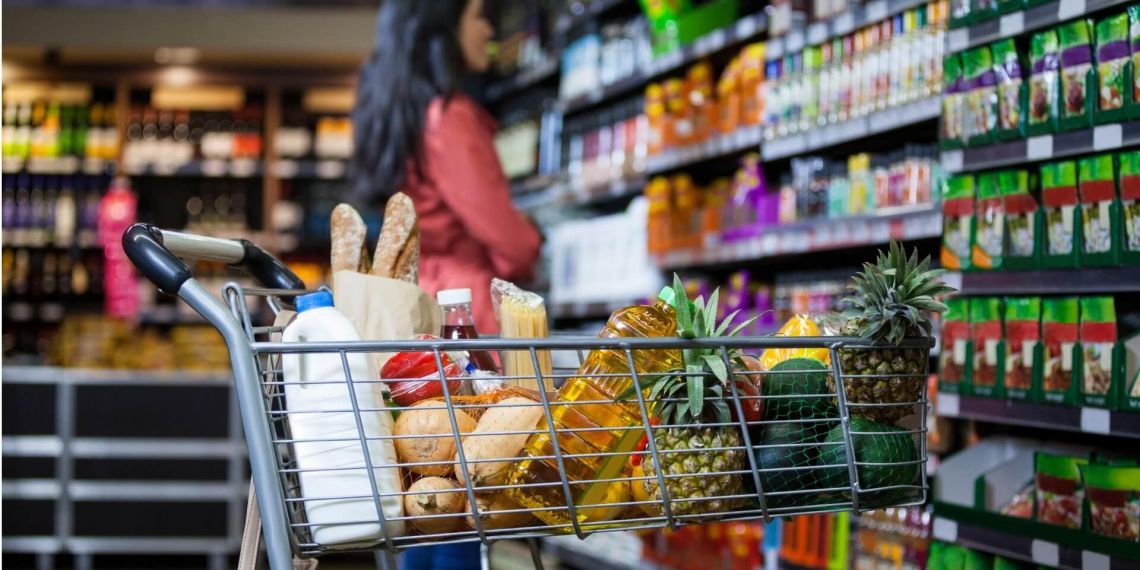 Carte alimentaire de 150 euros : quel est ce projet proposé par les Écologistes ?