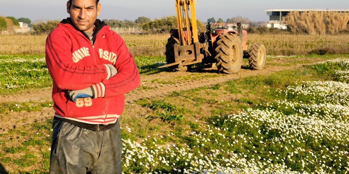 Actualisation de la liste des métiers en tension : un nouvel arrêté facilite l’emploi de travailleurs étrangers