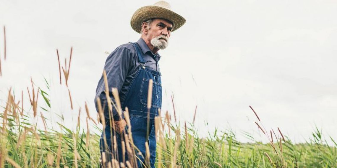 Retraite des exploitants agricoles : ce que prévoit le PLFSS pour améliorer votre pension