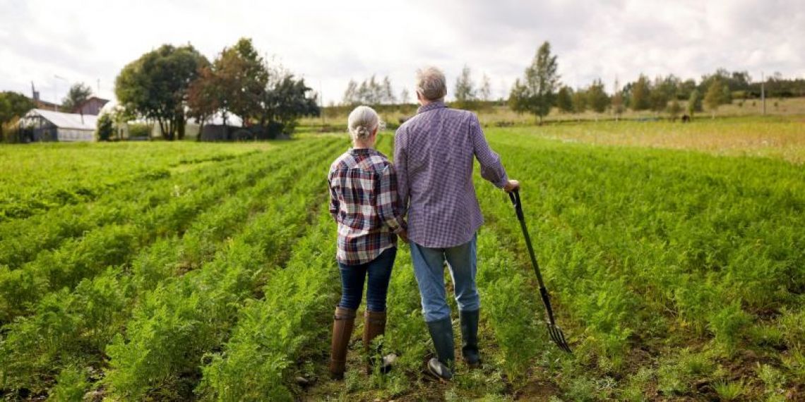 Non-salariés agricoles : tout savoir sur la nouvelle pension d’invalidité de veuve ou veuf