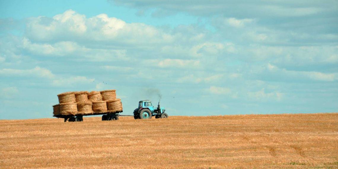 Le « Madelin agricole » : le complément de retraite des agriculteurs à ne pas écarter