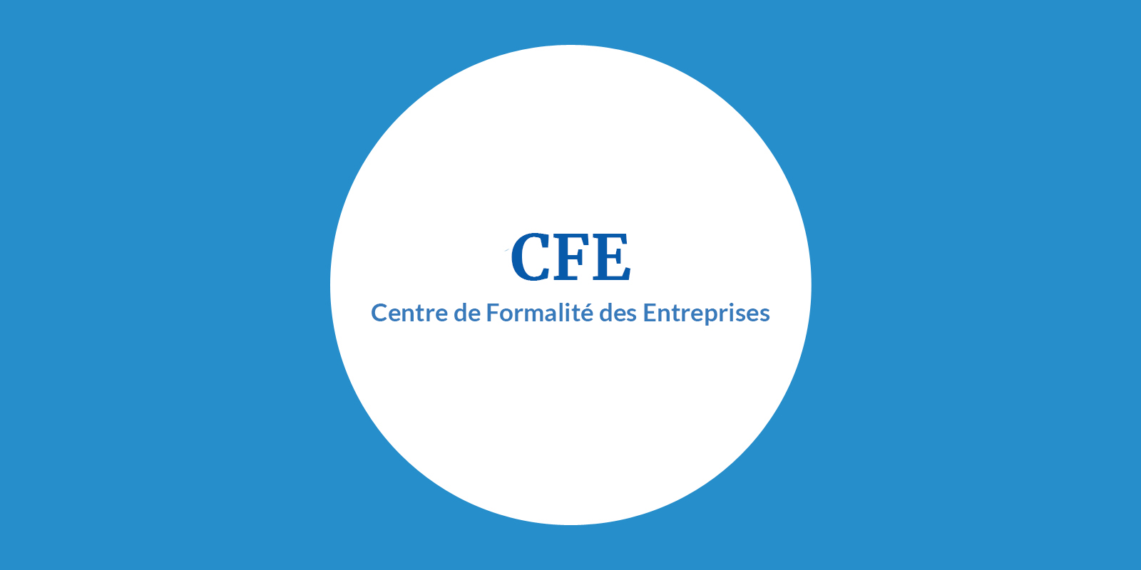 Formulaire de déclaration de radiation pour une entreprise - P4 (cerfa n°11679*05)